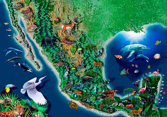 ///SEMARNAP, Proyecto de mapa de localización de flora y fauna, 1996